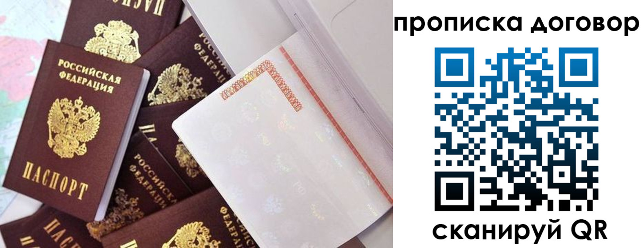 прописка в квартире в Шилке